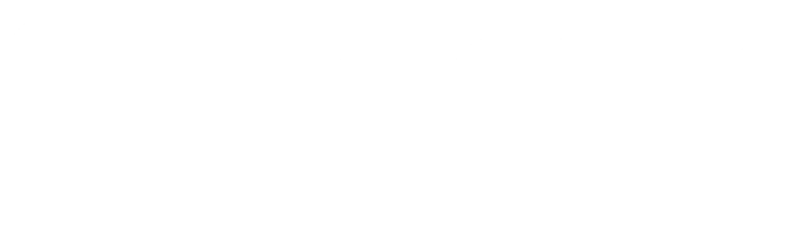 Rogers Carpet Cleaning Logo Footer